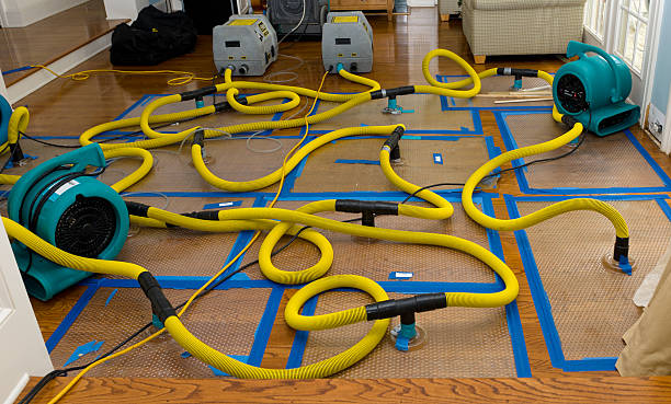 Professional Structural Drying And Dehumidification technician working in Croydon, UT